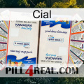 Cial kamagra1